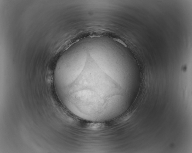 X0000115790135200911271235