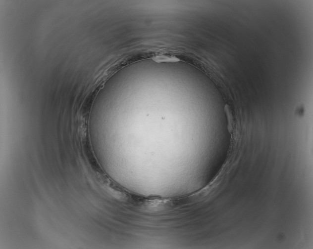 X0000115790136200911271235