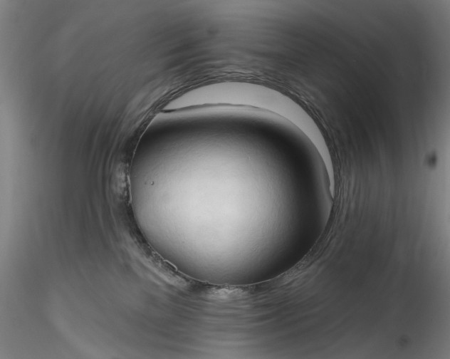 X0000115790137200911271235