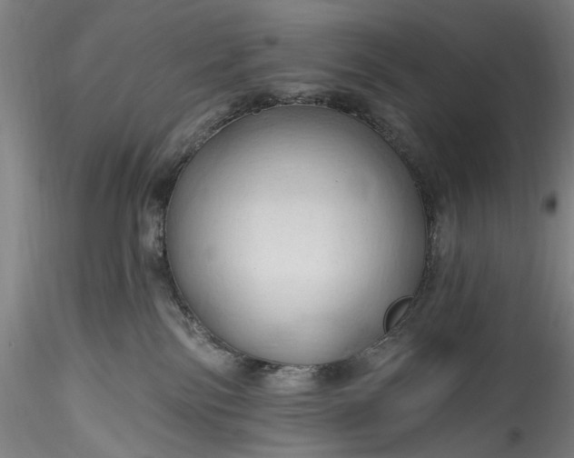 X0000115790138200911271235