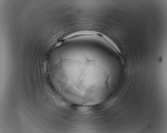 X0000115790139200911271235