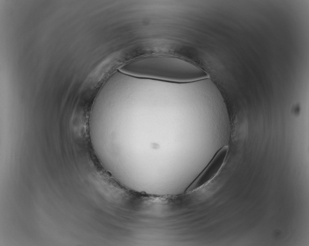 X0000115790140200911271235