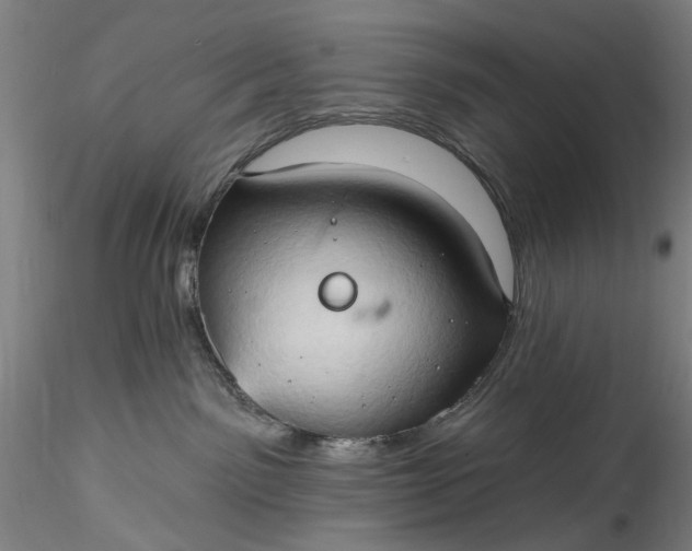 X0000115790141200911271235