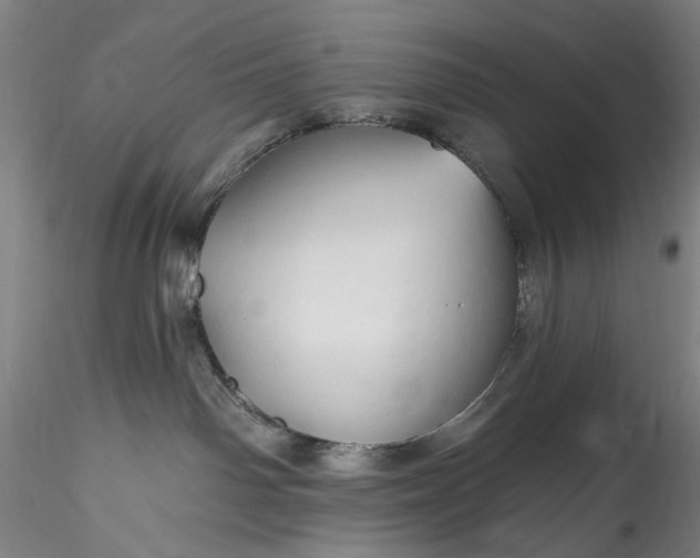 X0000115790142200911271235