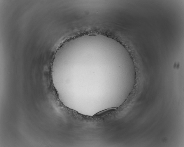 X0000115790144200911271235