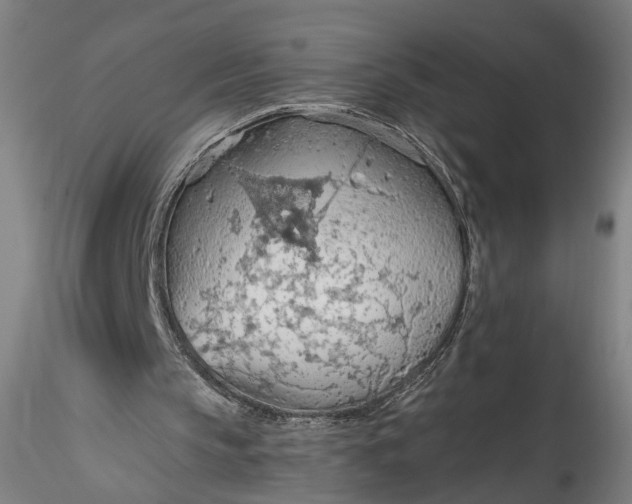 X0000115790145200911271234