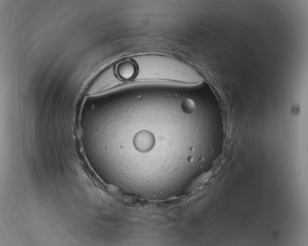 X0000115790146200911271234