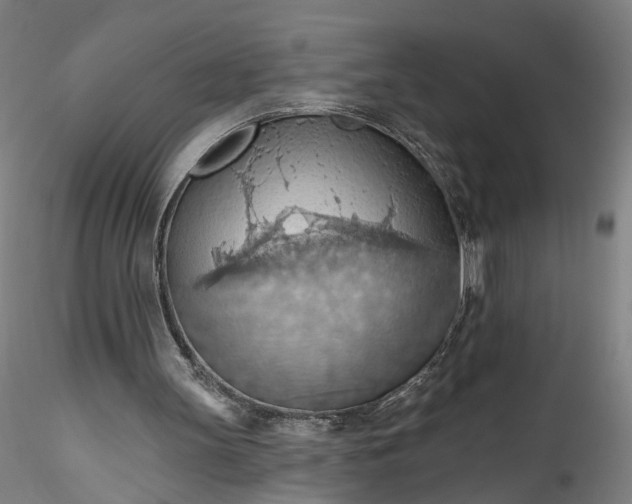 X0000115790147200911271234