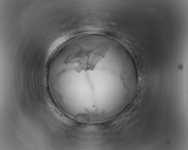 X0000115790149200911271234