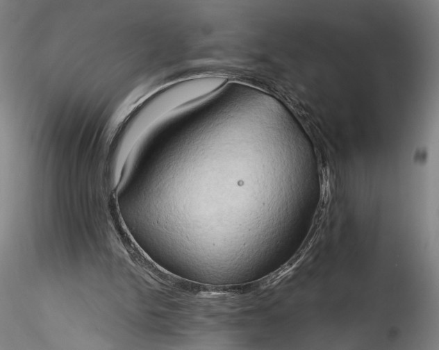 X0000115790150200911271234