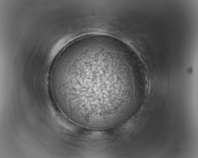 X0000115790151200911271234