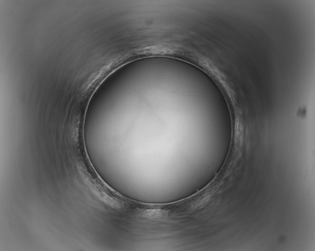 X0000115790153200911271235