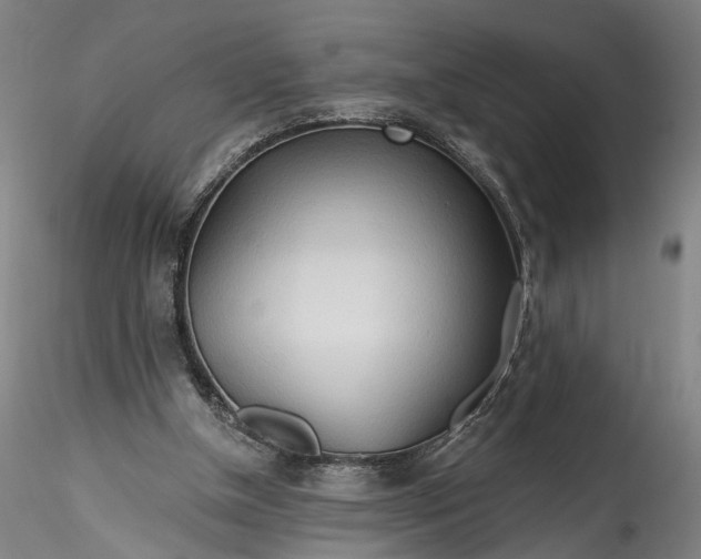 X0000115790154200911271235