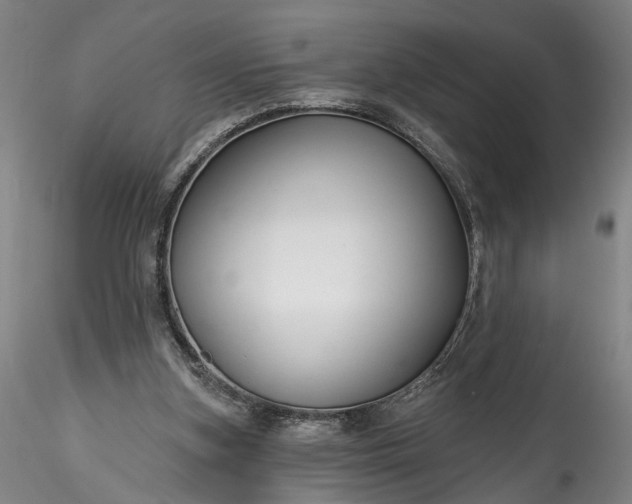 X0000115790155200911271235