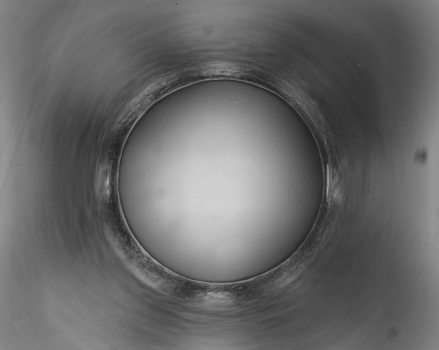 X0000115790157200911271235