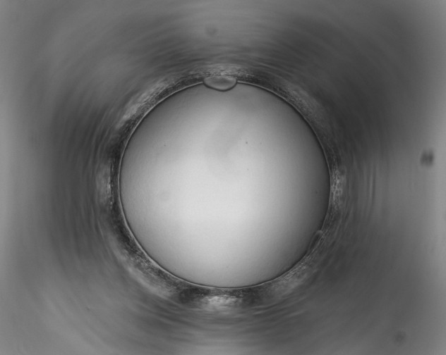 X0000115790158200911271235