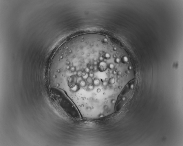 X0000115790159200911271235