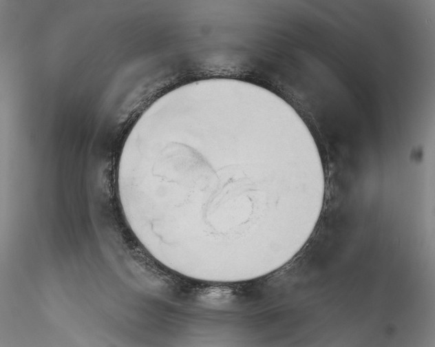 X0000115790162200911271235