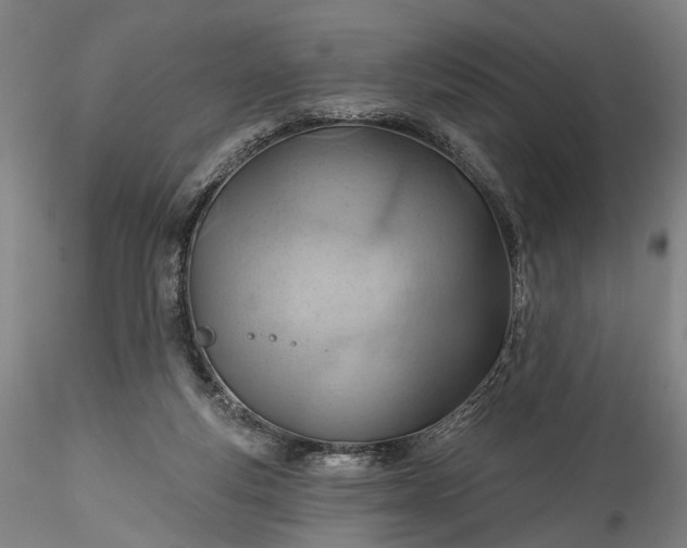 X0000115790163200911271235