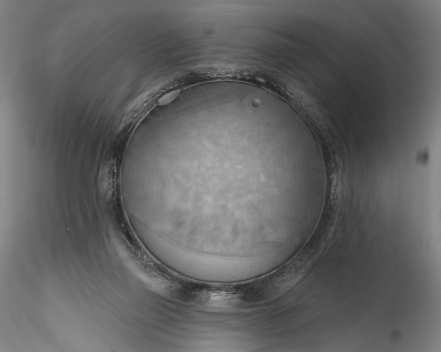 X0000115790165200911271235