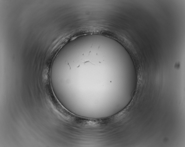 X0000115790166200911271235