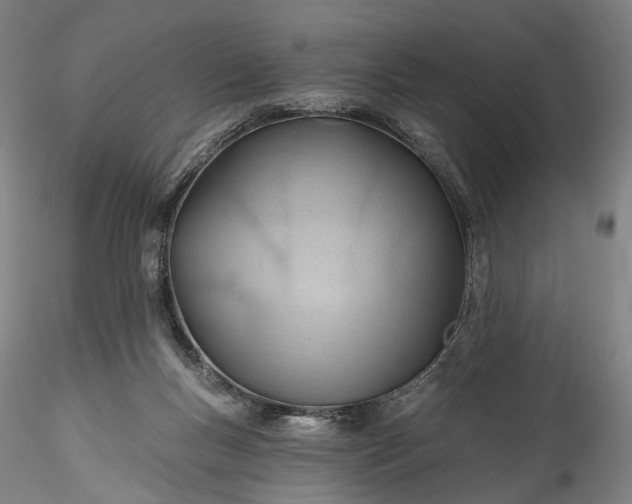 X0000115790167200911271235