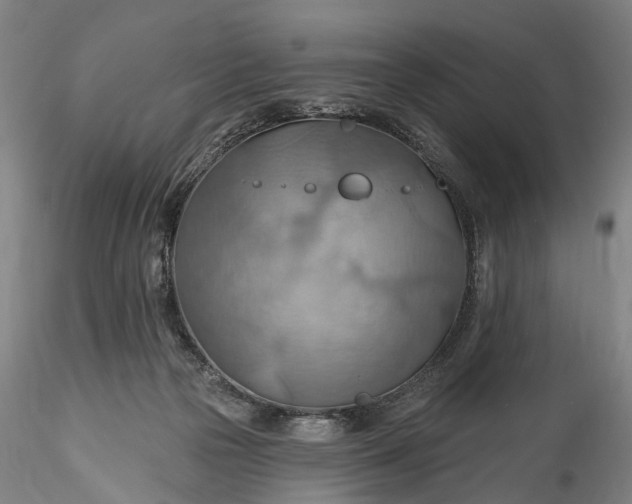 X0000115790169200911271235