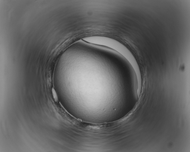 X0000115790170200911271235