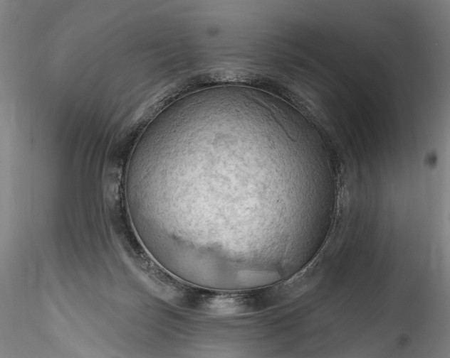 X0000115790171200911271235