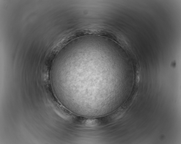 X0000115790173200911271235