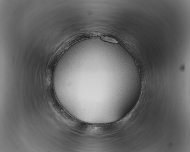 X0000115790174200911271235