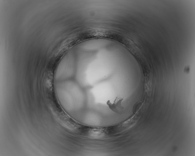 X0000115790175200911271235