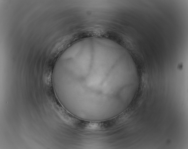 X0000115790177200911271235