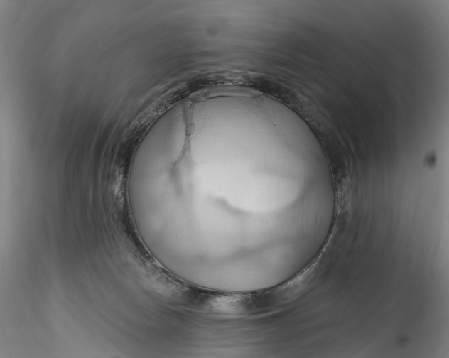 X0000115790178200911271235