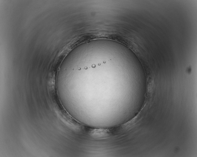 X0000115790179200911271235