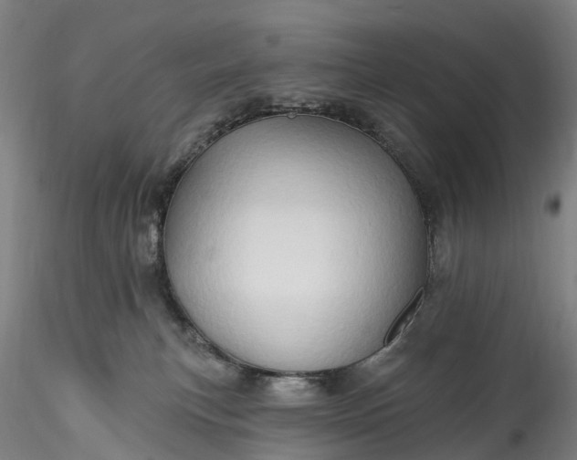 X0000115790183200911271235