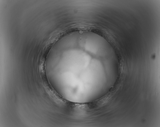 X0000115790185200911271235