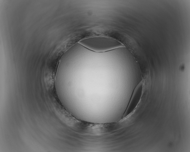 X0000115790186200911271235