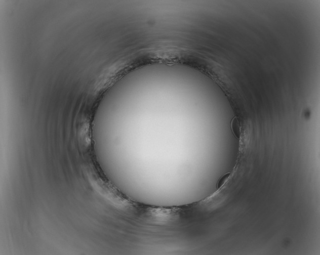 X0000115790187200911271235