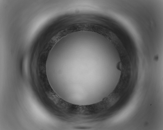 X0000115790189200911271235