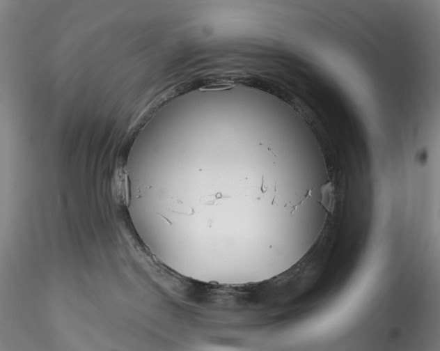 X0000115790190200911271235