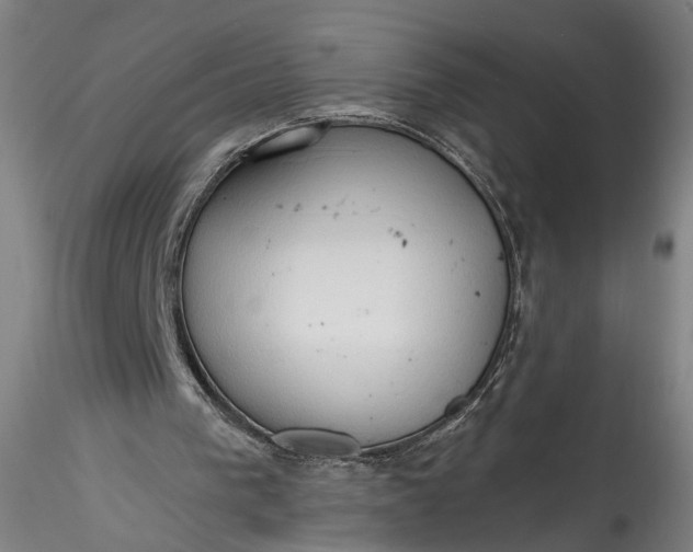 X0000115790193200911271234