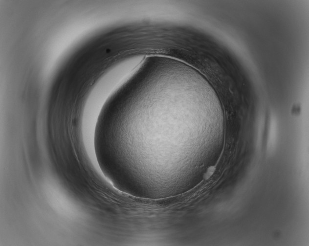 X0000115790195200911271234