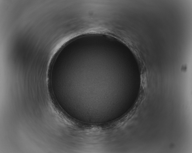 X0000115790196200911271234