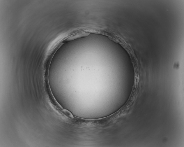 X0000115790197200911271234