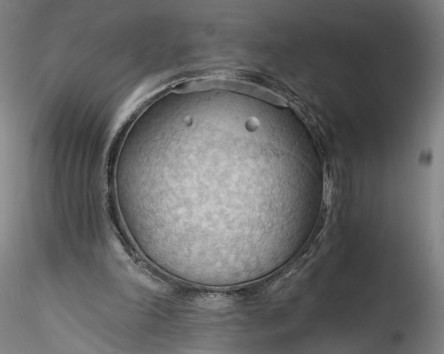 X0000115790198200911271234