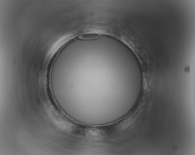 X0000115790199200911271234