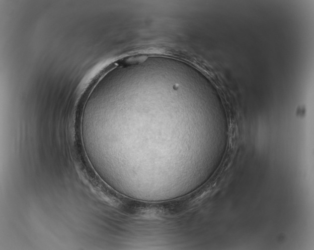 X0000115790200200911271234