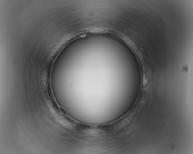 X0000115790201200911271234