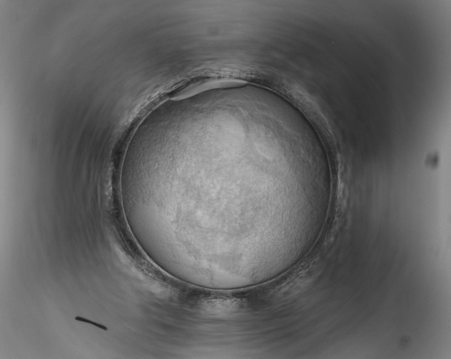 X0000115790202200911271234